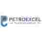 Petroexcel Technology Services (P) Limited logo