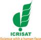 International Crops Research Institute for the Semi-Arid Tropics (ICRISAT) logo