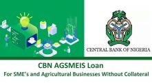 The Federal Governments Agri-Business/Small and Medium Enterprise Investment Scheme