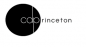 C.D Princeton Nigeria Limited logo