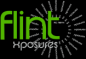 Flintxposures Nigeria Limited logo