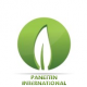 Panettin International Enterprise logo