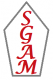 MacArcani Global Services Ltd logo