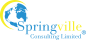 Springville Consulting Limited logo