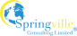 Springville Consulting Limited logo