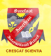 Surefoot American International School logo