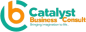 Catalyst Business Consult logo