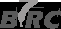 BIRC Limited logo