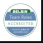 Belbin Nigeria logo