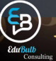 EduBulb Consulting logo