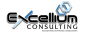 Excellium Consulting Services logo