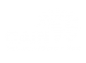 Catering to Africans In Need (CAIN) logo