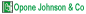 Opone Johnson & Co (Chartered Accountants) logo