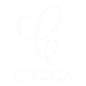 Cececa Ltd logo