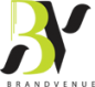 BrandVenue Innovations Ltd logo