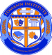 IDMANN Institute logo