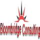 Bloombridge Consulting Limited logo