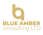 Blue Amber Consulting Limited logo