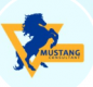 Mustang Consultant logo