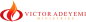 Victor Adeyemi Ministries logo