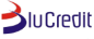 BluCredit Limited logo