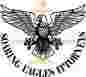 Soaring Eagle Attorney logo