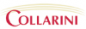Collarini Energy Staffing Inc. logo