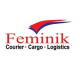 Feminik Logistics Nig Ltd logo