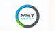 MSY Analytics Group logo