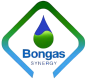 BONGAS Synergy Limited logo