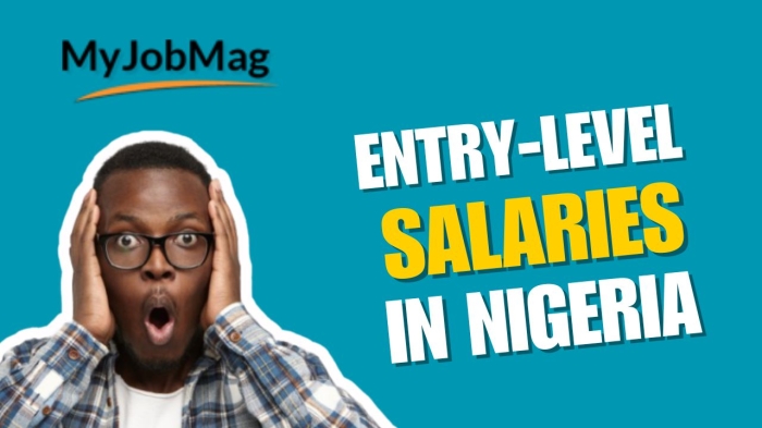 Entry-Level Salaries in Nigeria