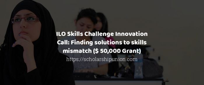 Skills Challenge Innovation Call: Finding Solutions to Skills Mismatch