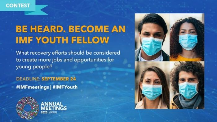 The International Monetary Fund Youth Fellowship Contest