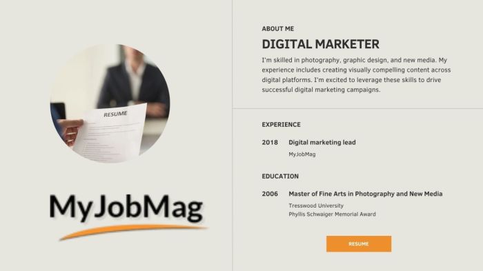 CV Templates for all Job Fields in Nigeria 2026