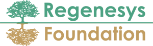 Regenesys Foundation/Microsoft 4Afrika Scholarship Programme