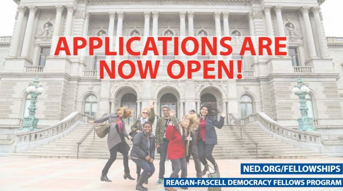 The Reagan Fascell Democracy Fellows Program