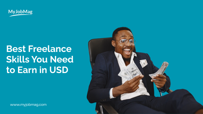 Best Freelance Skills You Need to Earn in USD